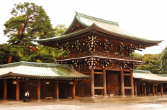 Muza chan's Japan Photo Gallery
